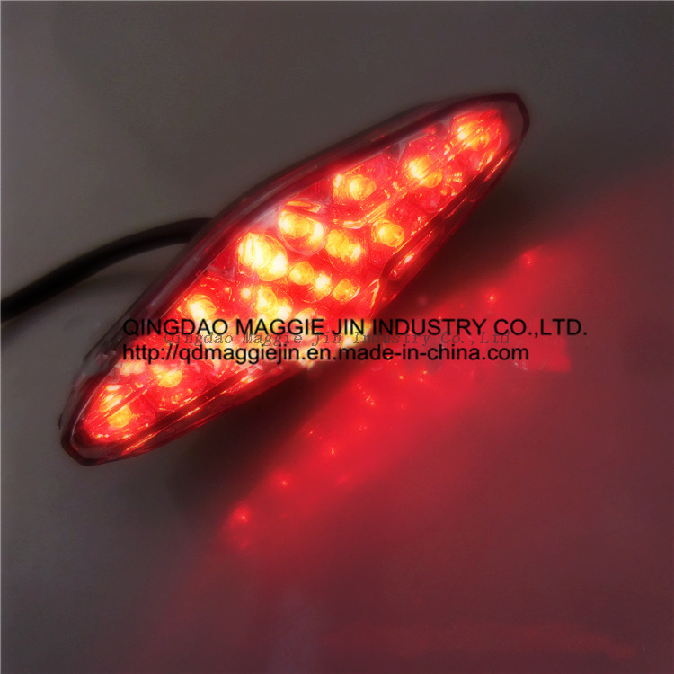 High Quality Motorcycle LED Tail Light, Rear Light, LED Brake Light