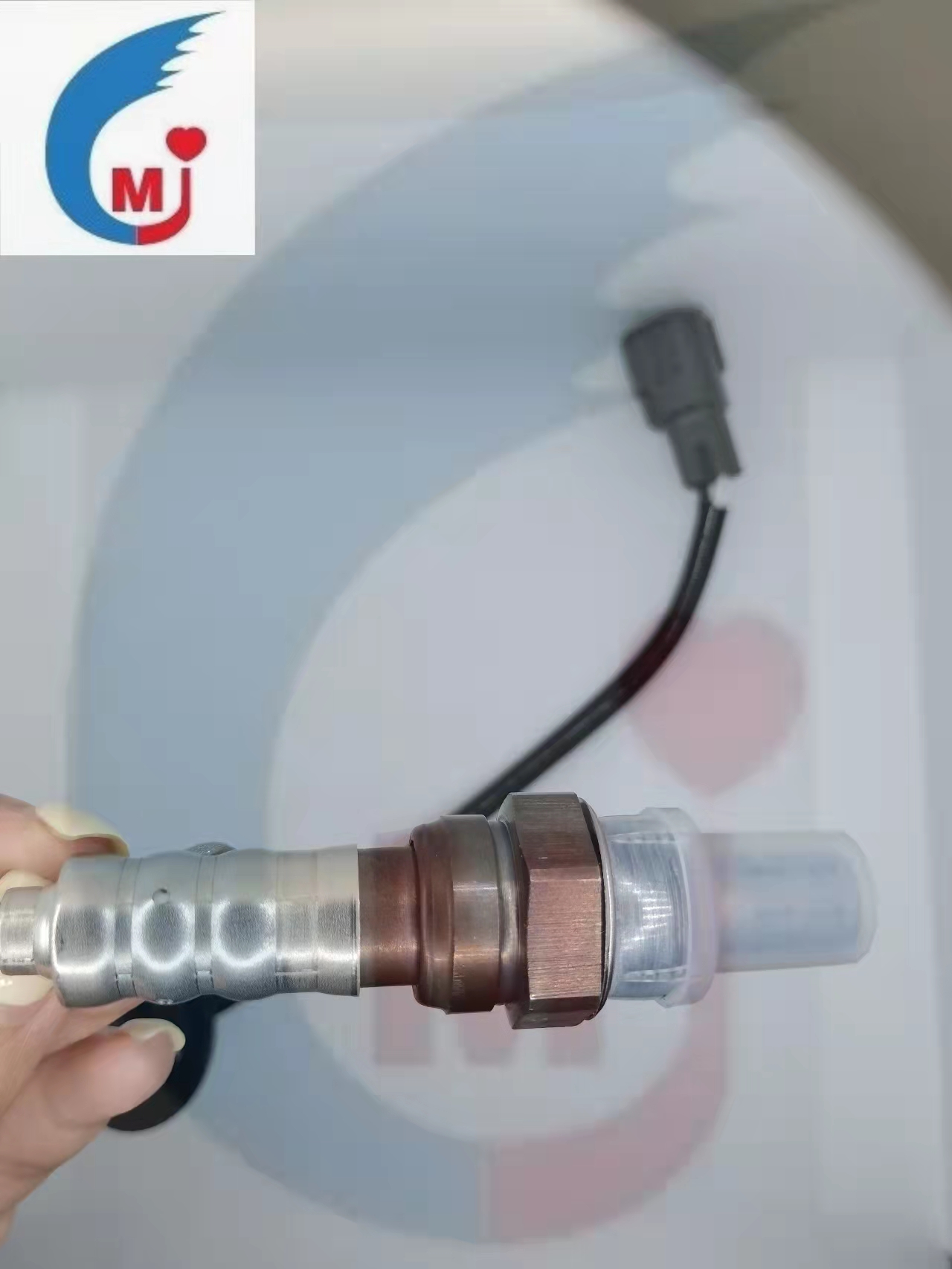 86a48382802368d908020d3746aa900